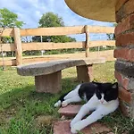 Jurtarelax