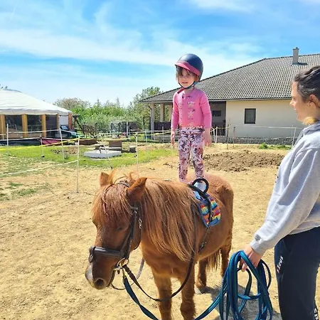 Cort de lux Jurtarelax Kozarmisleny