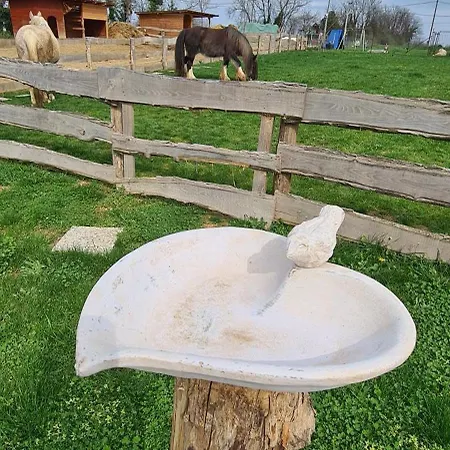 Jurtarelax * Kozarmisleny