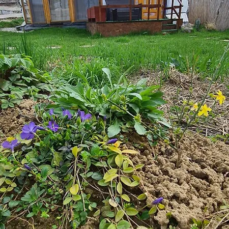 Jurtarelax Tente de luxe Kozarmisleny