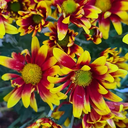 Jurtarelax * Kozarmisleny