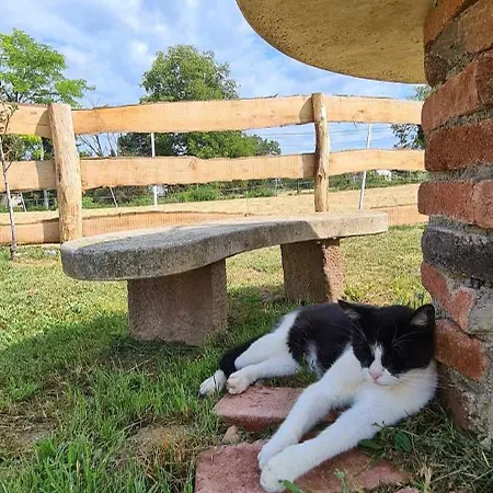 Jurtarelax