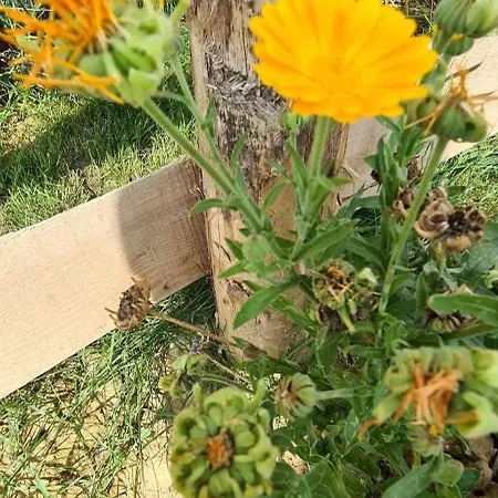 Jurtarelax Kozarmisleny