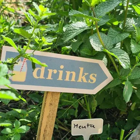 Tente de luxe Jurtarelax Kozarmisleny