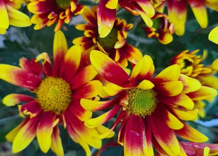 Jurtarelax * Kozarmisleny