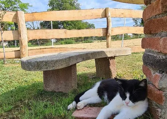 Jurtarelax